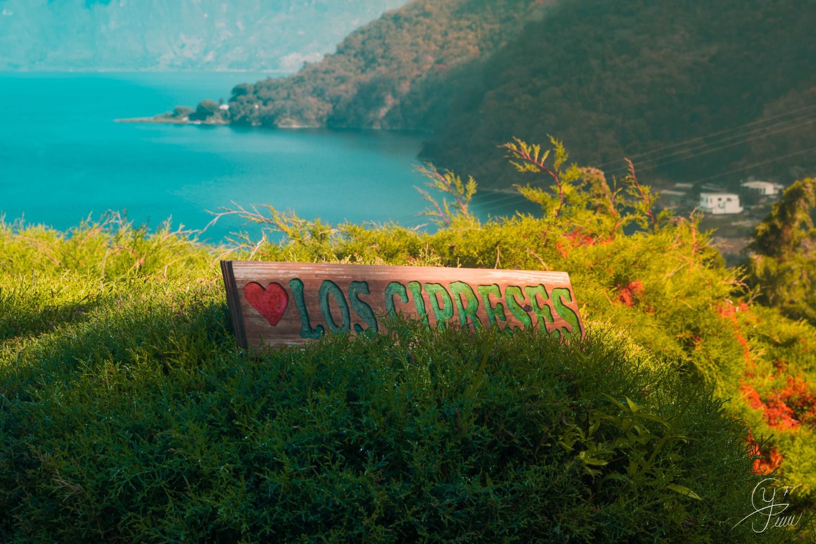 Imagen de Los cipreses camping